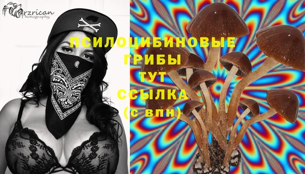СК Баксан